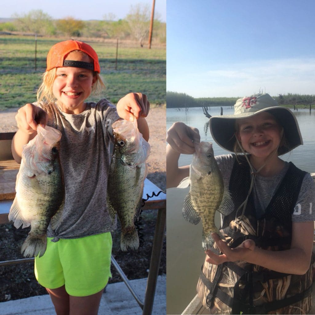 Crappies