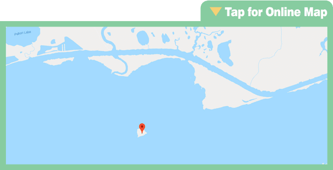 Bird Island