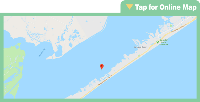 Snake Island Cove
