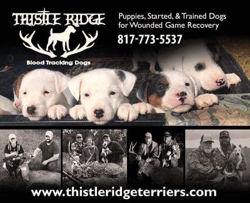 Thisle Ridge