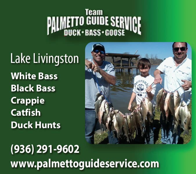 Palmetto Guide Service