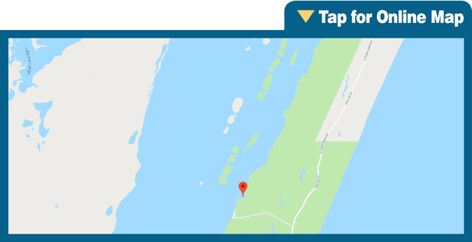 North Bird Island