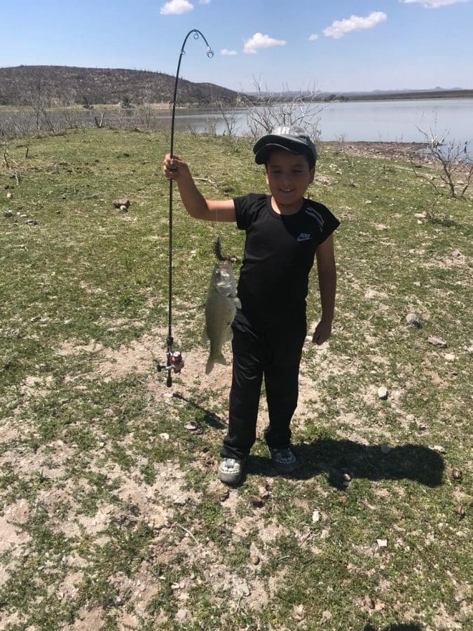 First Bass