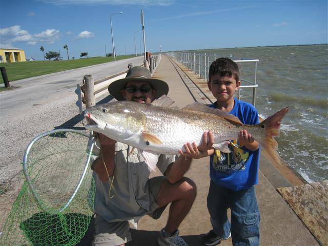 Redfish