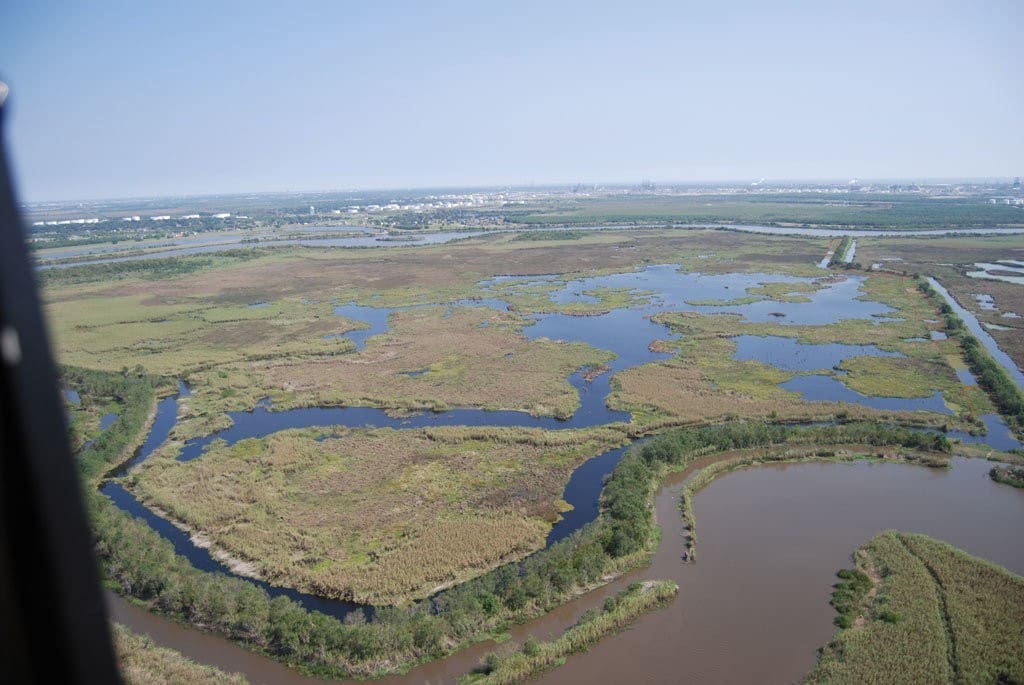 J.D. Murphree Wildlife Management Area (WMA)