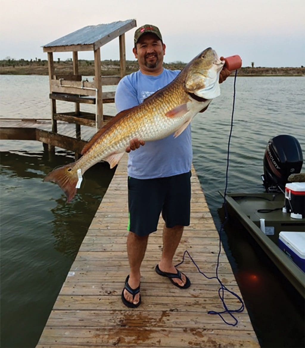 Redfish-Gonzales