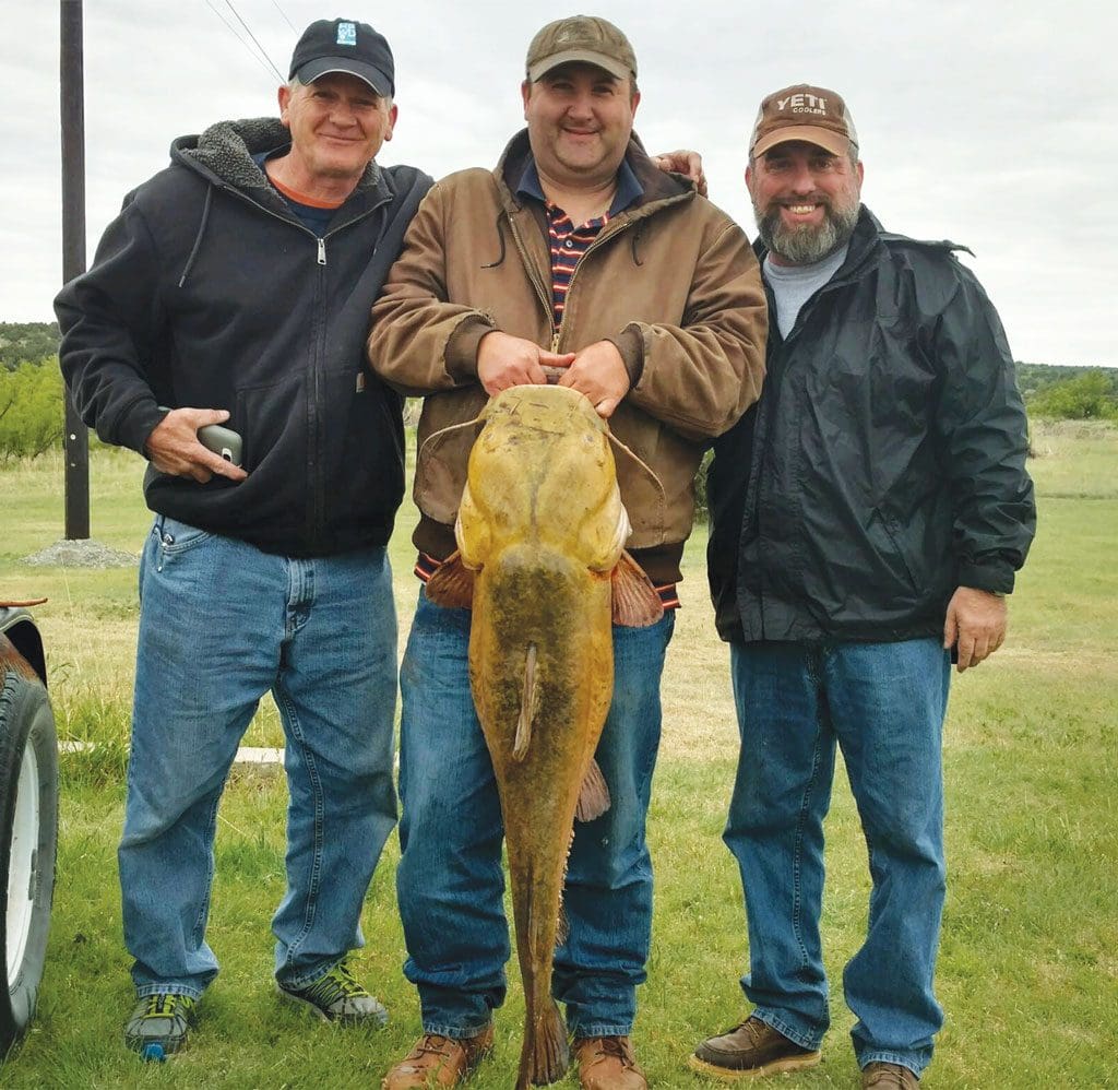 8-YellowCatfish-Jerden