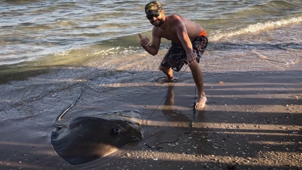 stingray