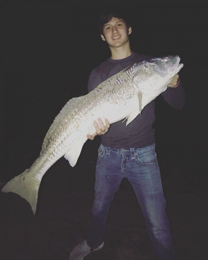 redfish
