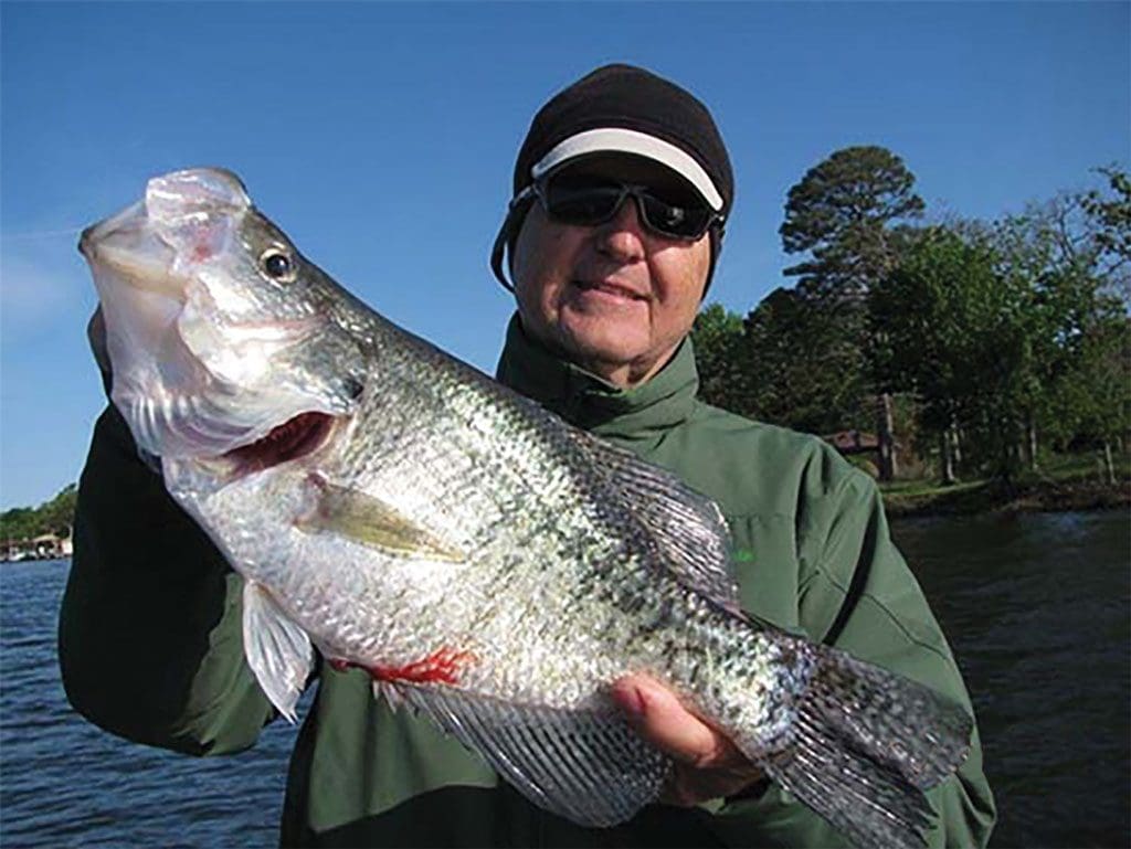 crappie