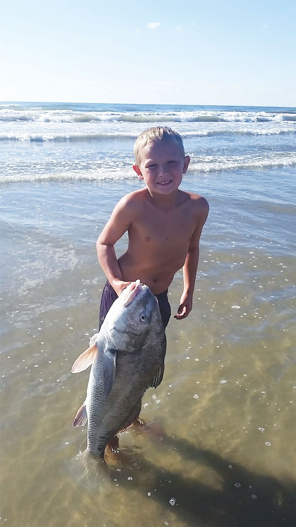 black drum
