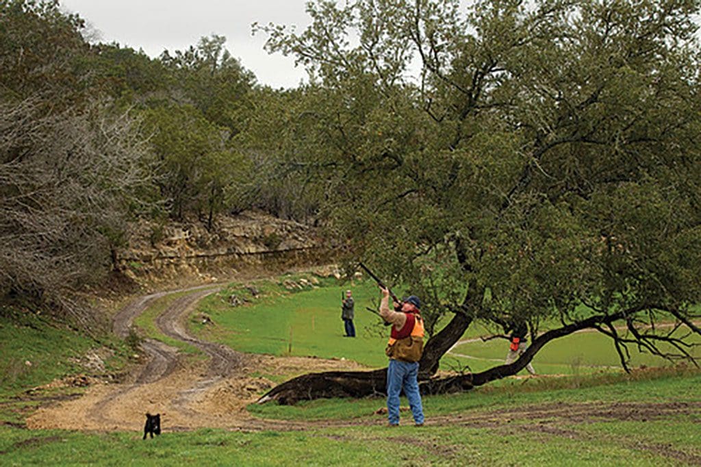 Joshua Creek Ranch