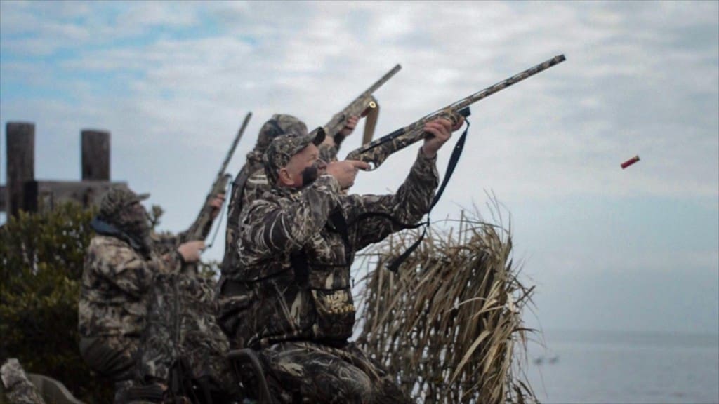 Duck Hunting