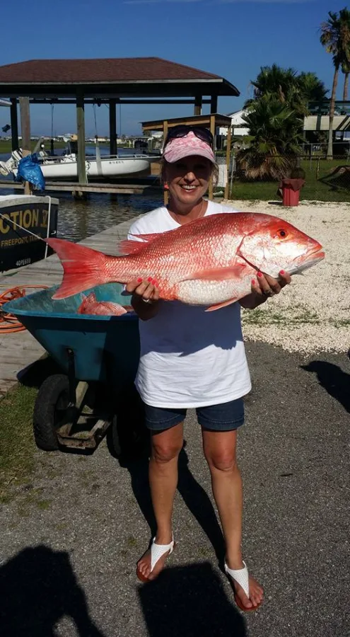 Snapper