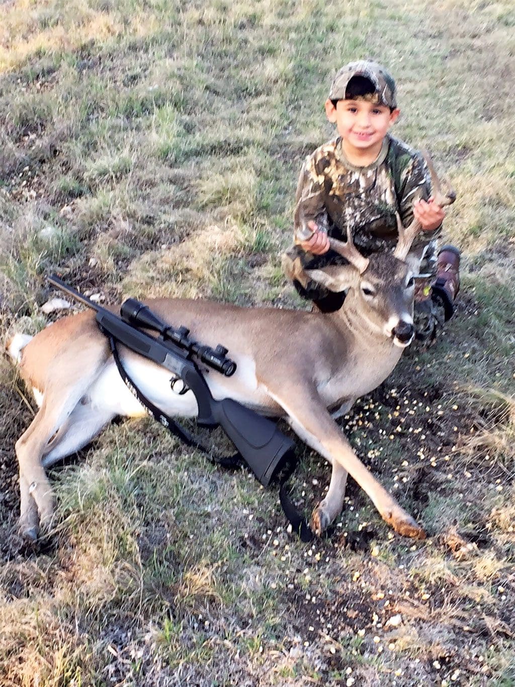 whitetail