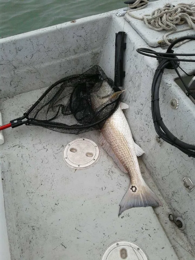 Red Fishing