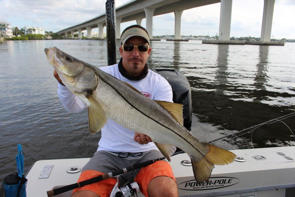 snook fishing