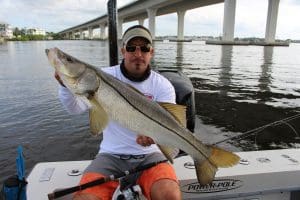 snook fishing