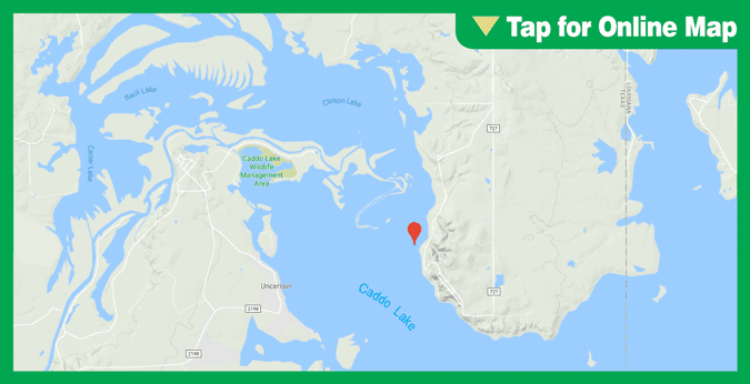 Caddo Lake: Alligator Bayou