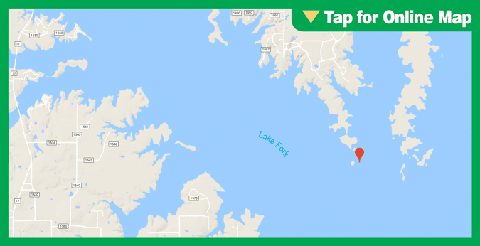 Lake Fork: Dale Creek