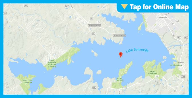 Lake Somerville: South Schooling Area