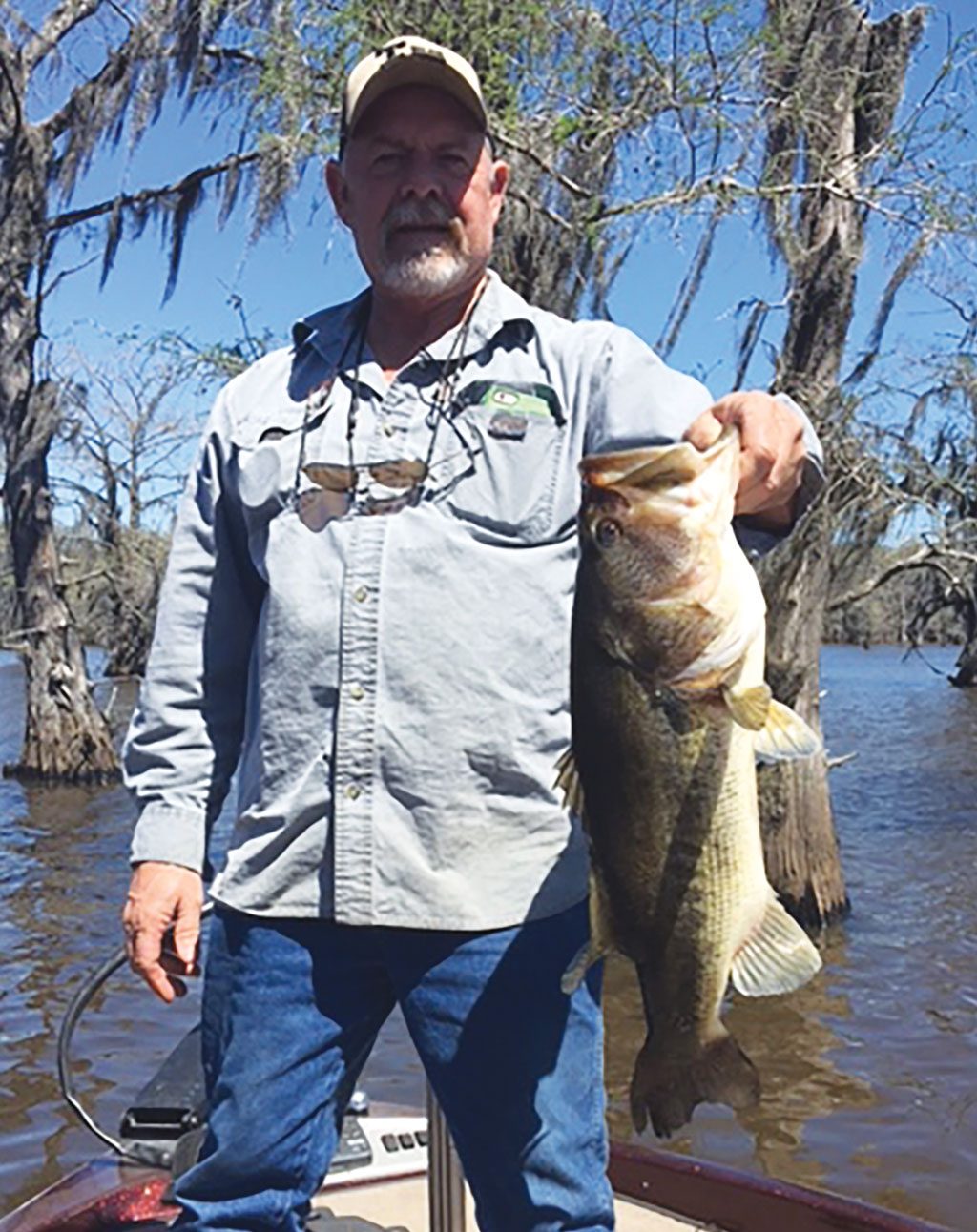 Bass-Hays