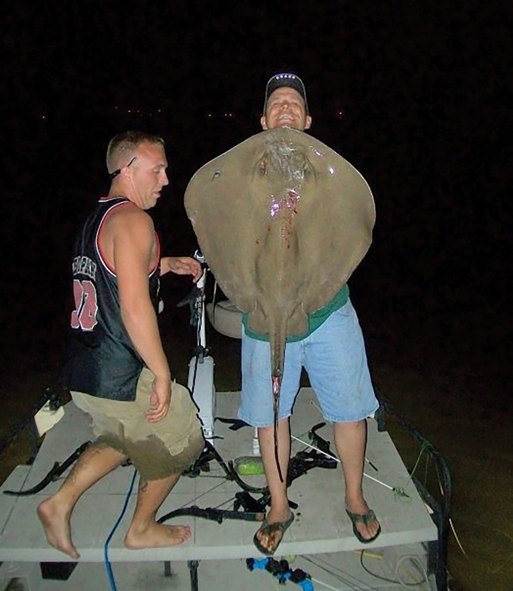 bow fishing stingray