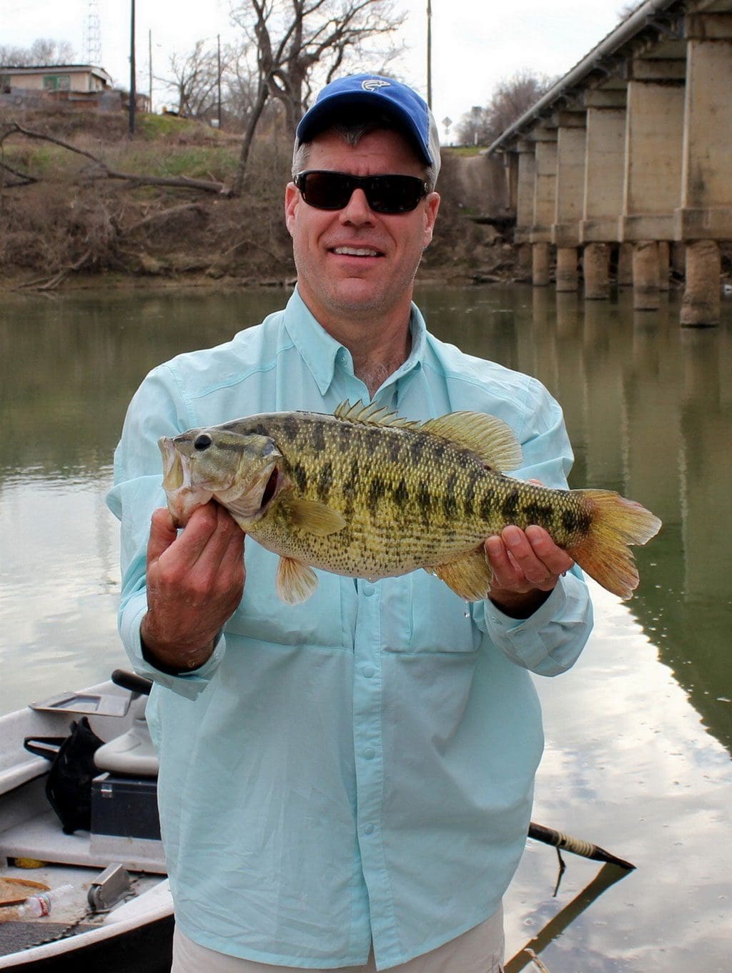 guadalupe bass