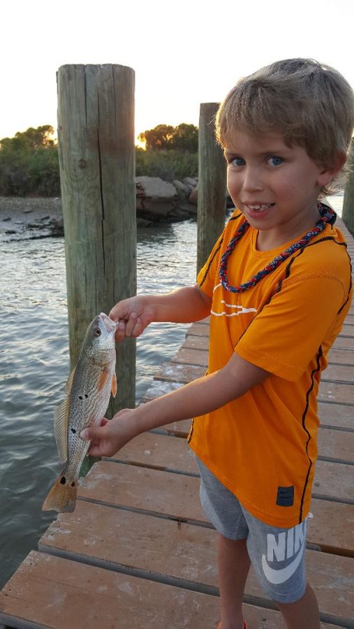 Redfish