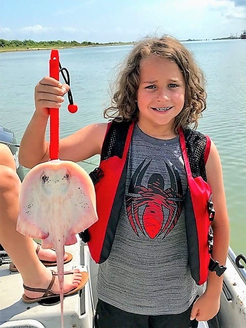Rare Albino Stingray