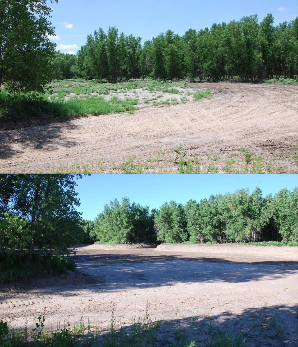 Cattail Lake dredging