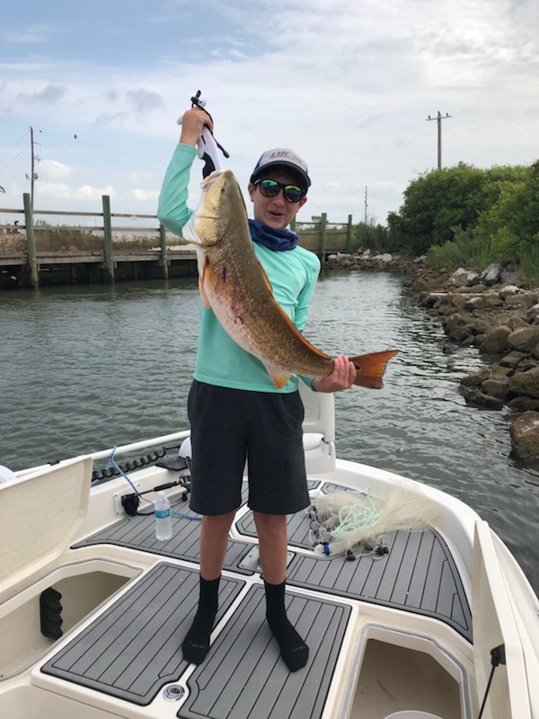Bull Red at Trinity Bay