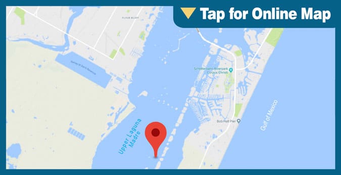 Intracoastal Spoils