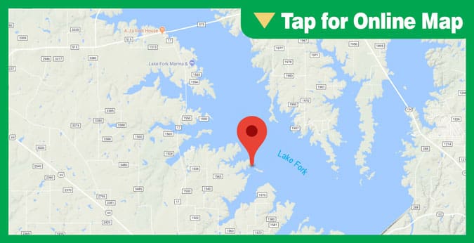 Lake Fork Points