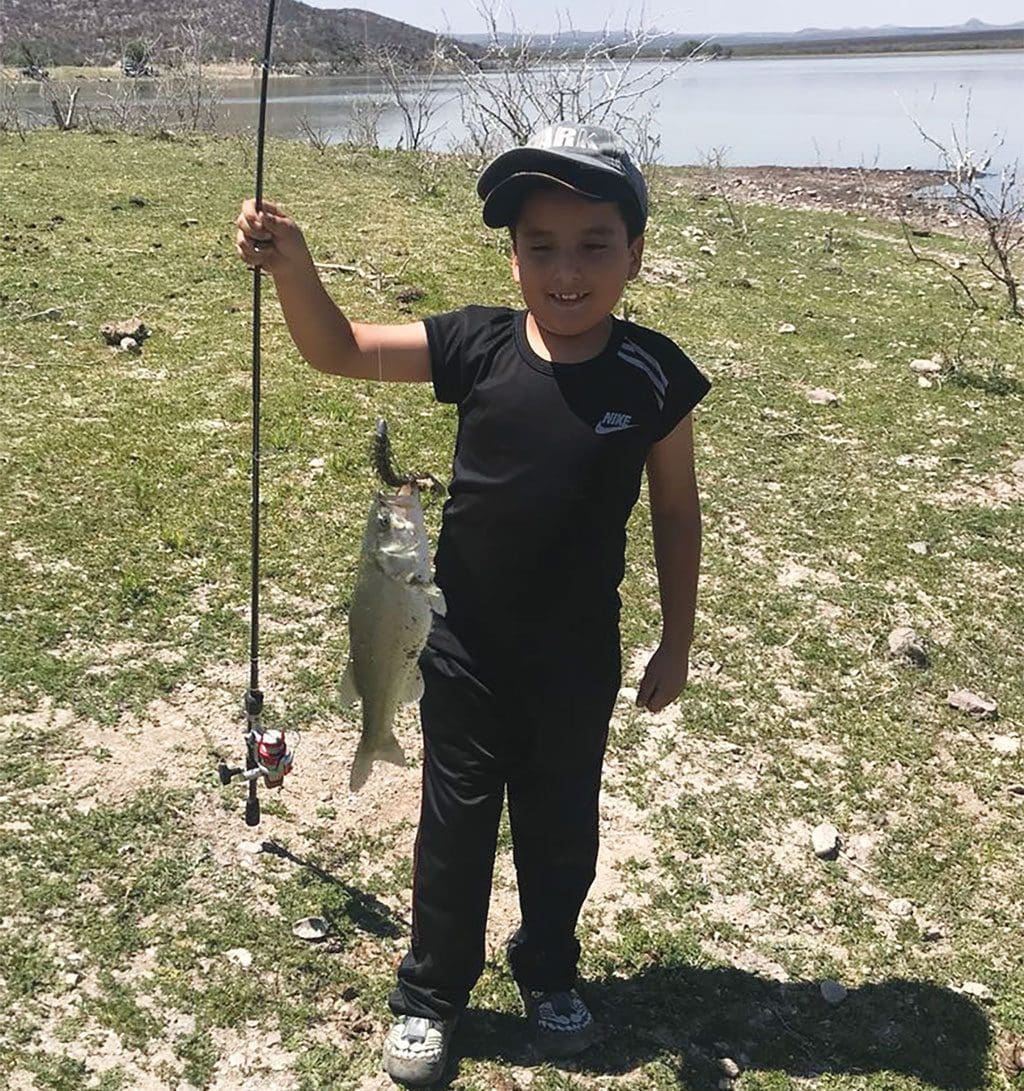 largemouth bass