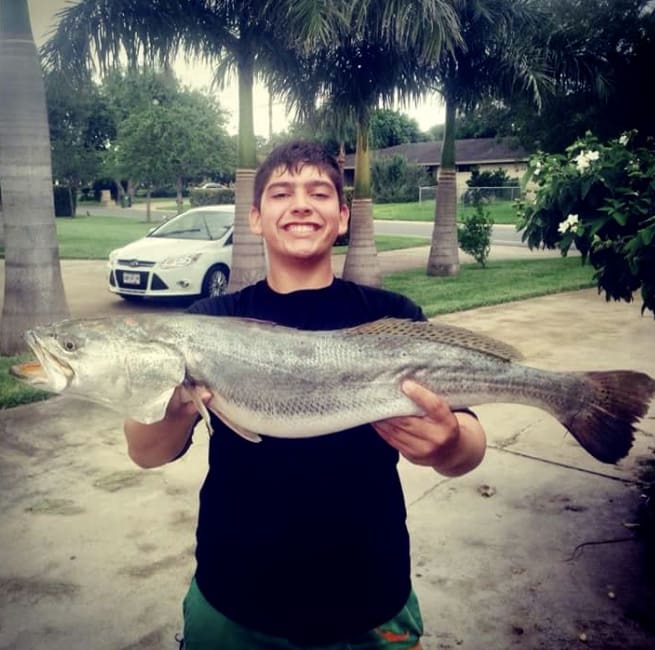 Trout