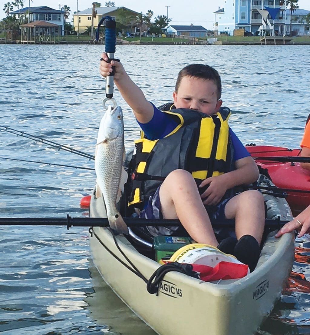 Rockport redfish