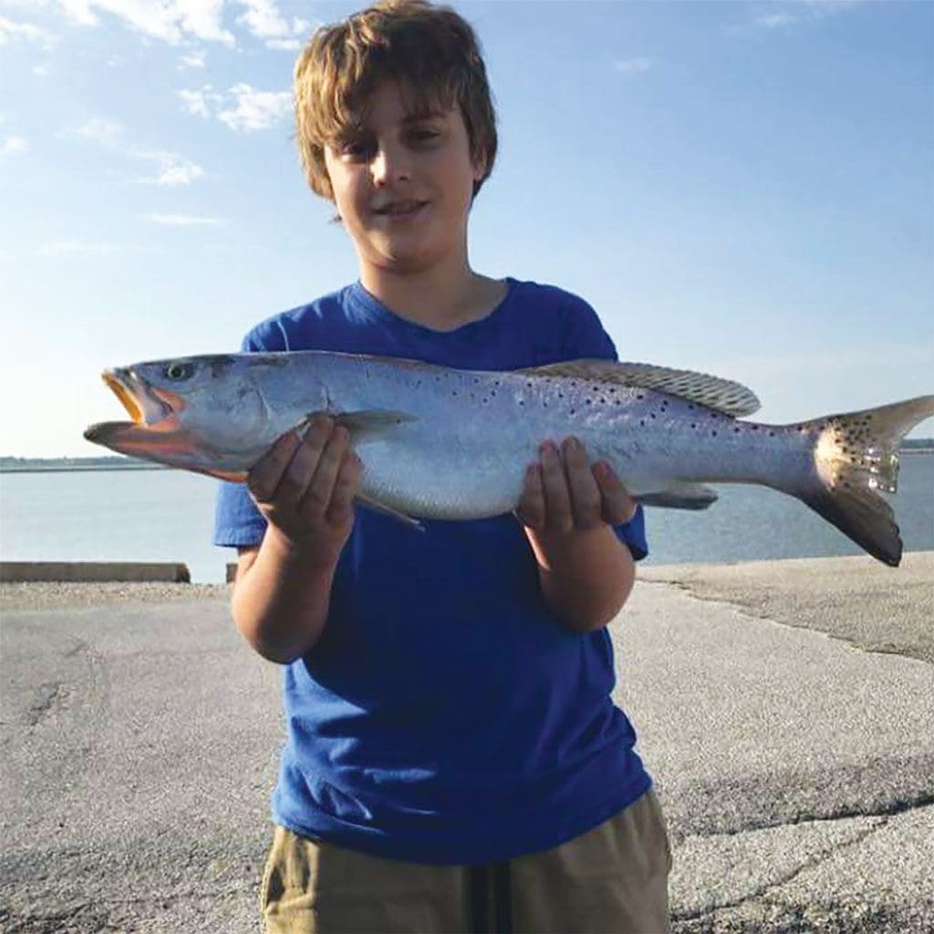 speckled trout