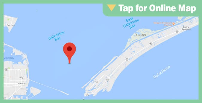 Galveston Bay: Old Pilings