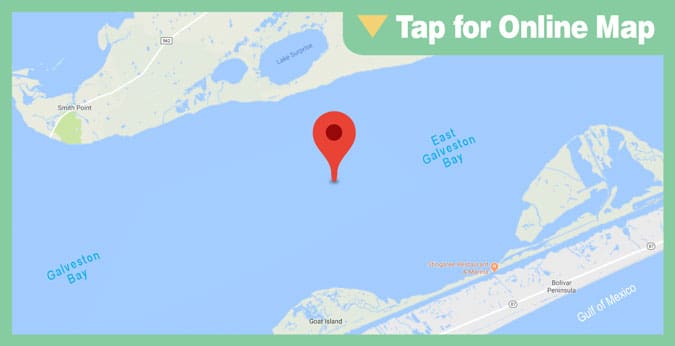 Galveston East Bay: Artificial Reef