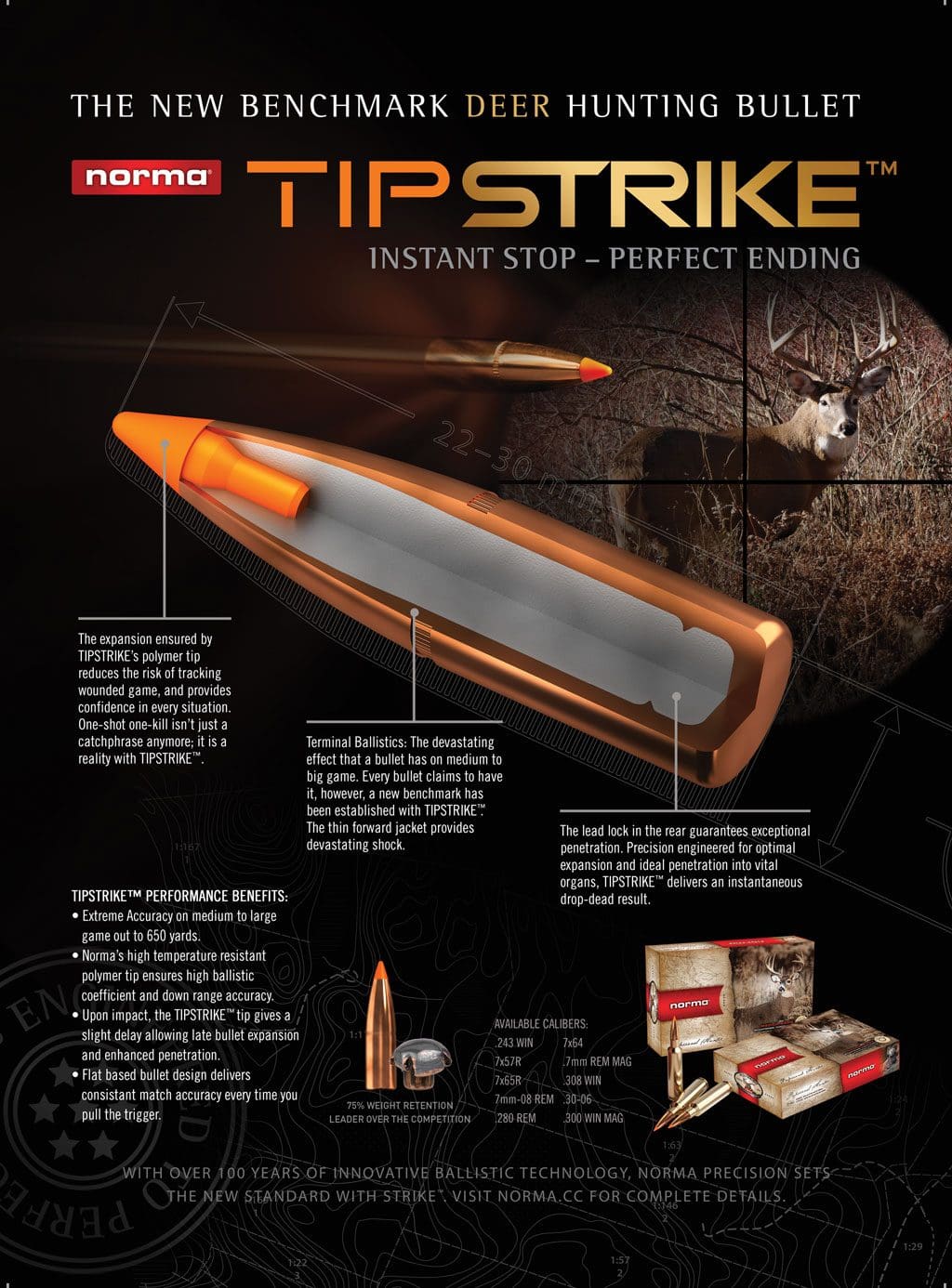 Norma Tip Strike