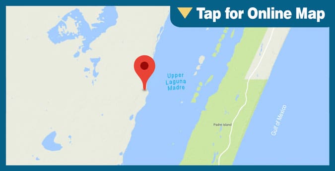 Upper Laguna Madre: King Ranch Shoreline