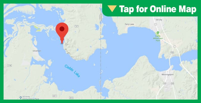 Caddo Lake HOTSPOT: Alligator Bayou
