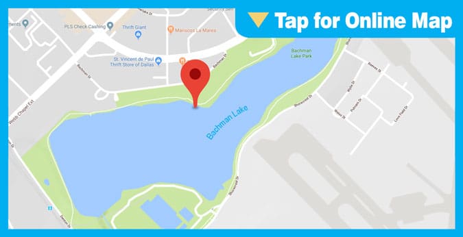Bachman Lake HOTSPOT: Main Lake or Bridge Area