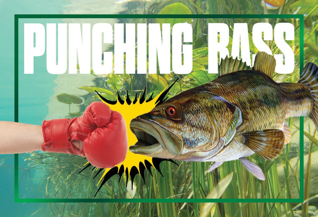 punching bass