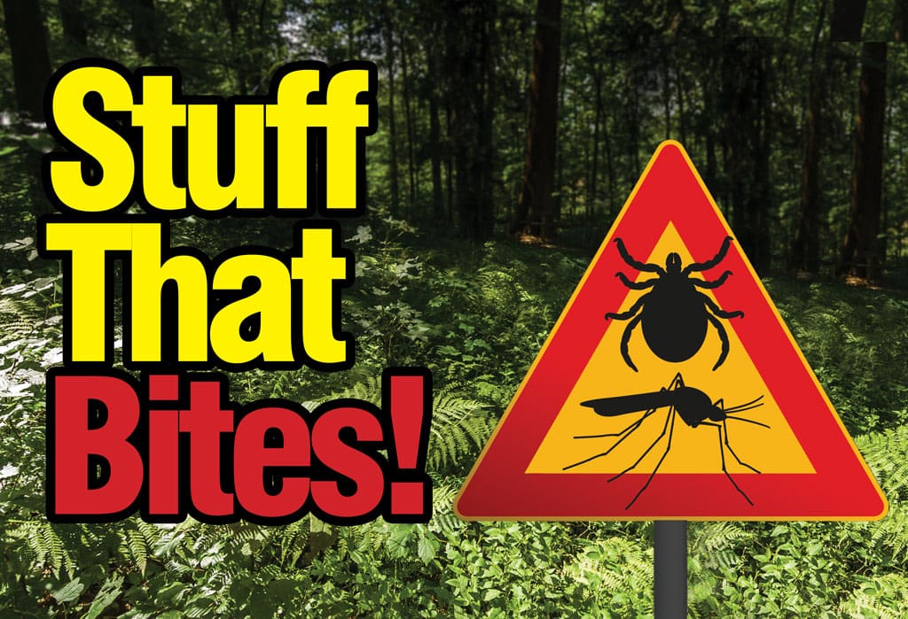 Warning! Ticks & other biters!