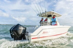 mercury outboard