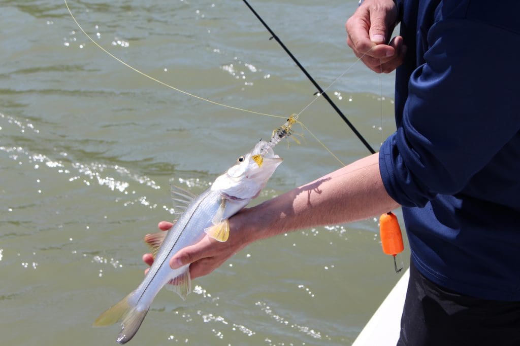 artificial lure fishing