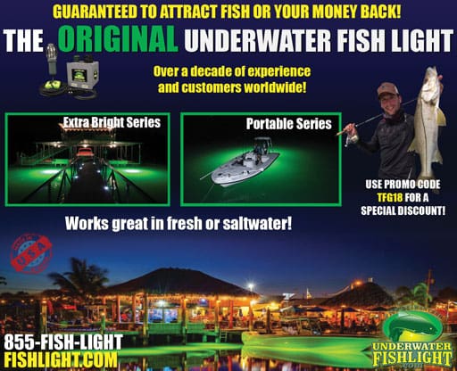 Underwater fish light
