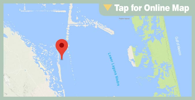 Port Mansfield HOTSPOT: Rincon de San Jose Shoreline